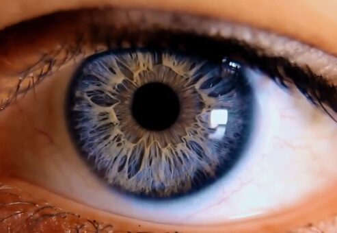 Video Thumb For Sight Unseen – An Empathy Training Experience