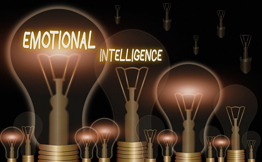 emotional intelligence in the workplace