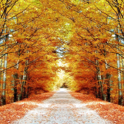 Featured Image For  9 Fall Team Building Activities To Transition Your Team into a New Season TeamBuilding Event