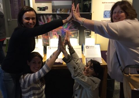 Team members collaborating in a museum exhibit during a scavenger hunt. They engage in a hands-on challenge, using teamwork to explore and solve interactive brain teasers.
