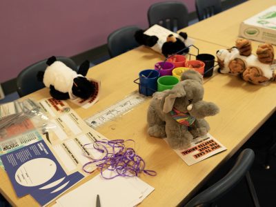 Endangered Animal Rescue Kit Team Building