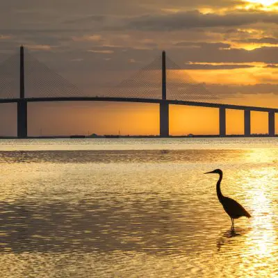 Featured Image For St. Petersburg Scavenger Hunt Team Building Event