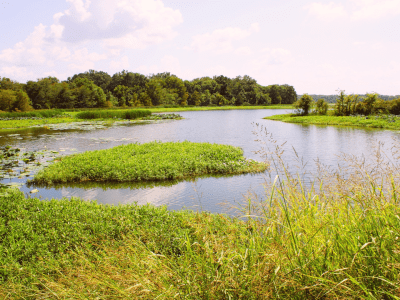 Arkansas Team Building