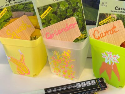 Sustainable Garden Kit Team Building
