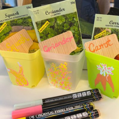 Featured Image For Sustainable Garden Kit Team Building Event